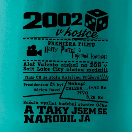 2002 v kostce