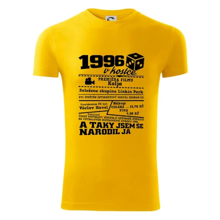 1996 v kostce