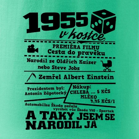 1955 v kostce