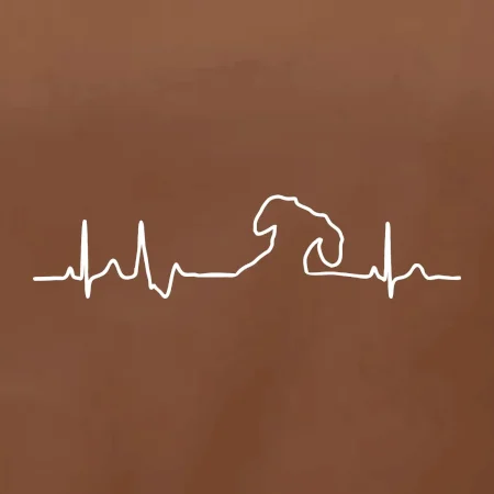 Jezevčík EKG