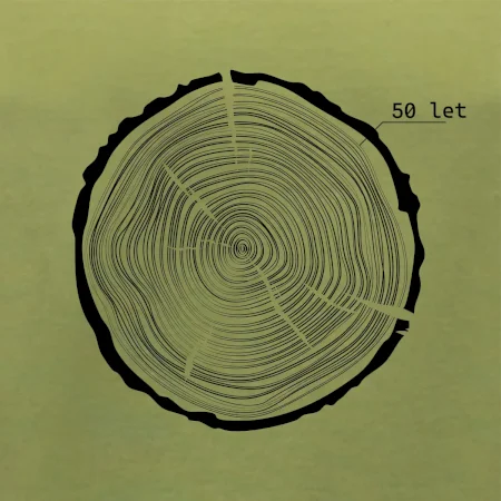 Letokruhy - 50