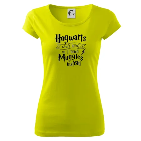 Harry - Hogwarts wasn’t hiring, so I teach Muggles instead