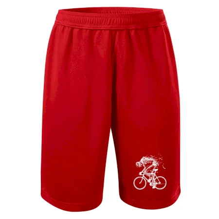 Cyklo kostra
