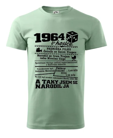 1964 v kostce