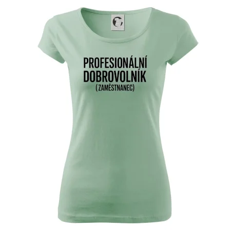 PROFESIONÁLNÍ DOBROVOLNÍK (zaměstnanec)