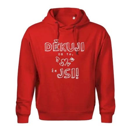 Děkuji za to, že jsi