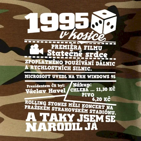 1995 v kostce