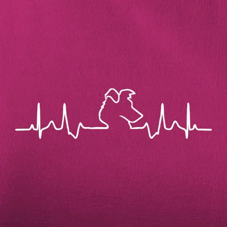 Border kolie EKG