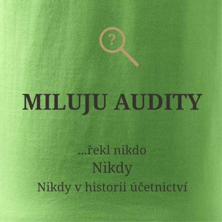 Miluju audity řekl nikdo nikdy