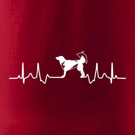 Český strakatý pes EKG