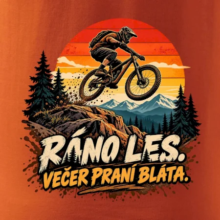 Ráno les večer praní bláta na kole