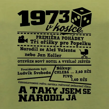 1973 v kostce