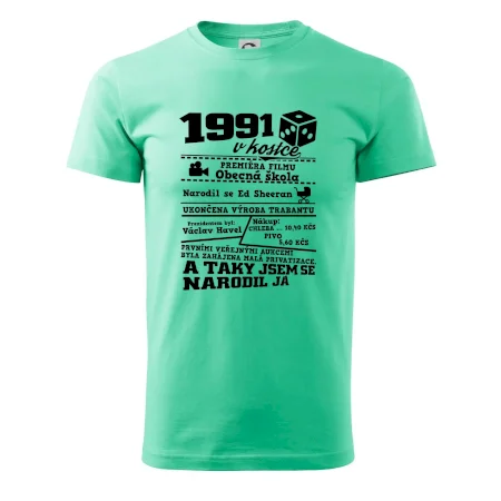 1991 v kostce