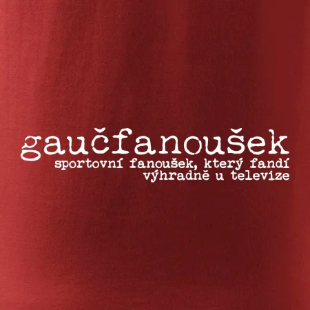 Čeština 2.0 - gaučfanoušek