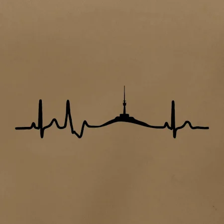 Ekg Jeseníky