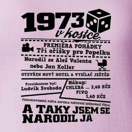 1973 v kostce