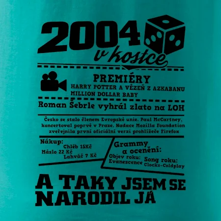 2004 v kostce