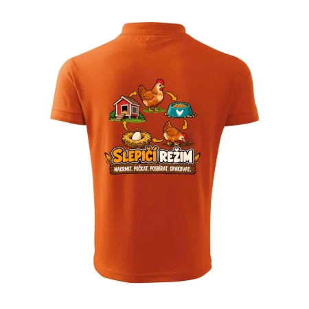 Slepičí režim od krmení po sběr vajec