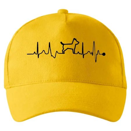 Ekg psí obrys