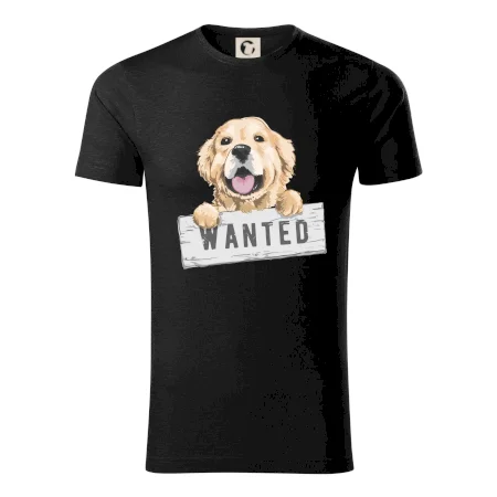 Zlatý retriever - štěně wanted