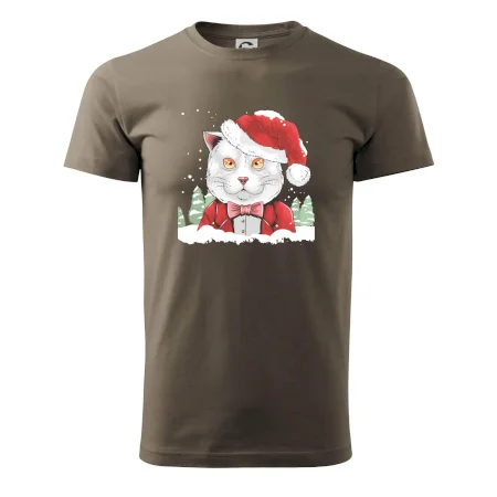 Santa kocour