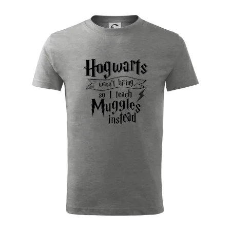 Harry - Hogwarts wasn’t hiring, so I teach Muggles instead