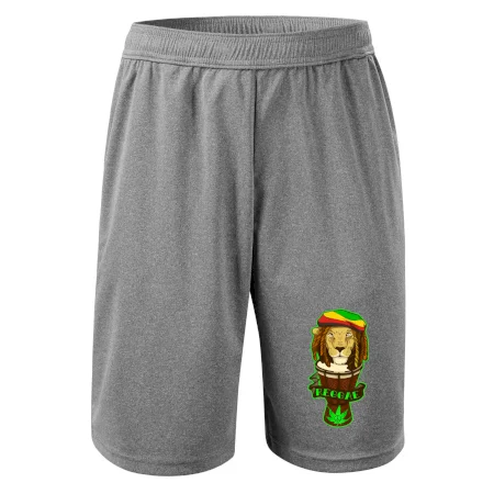 Reggae lev