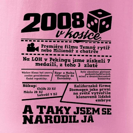 2008 v kostce