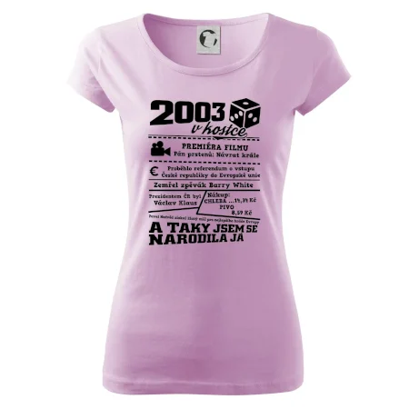 2003 v kostce