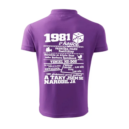 1981 v kostce
