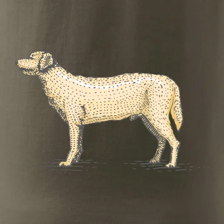 Vintage Labrador