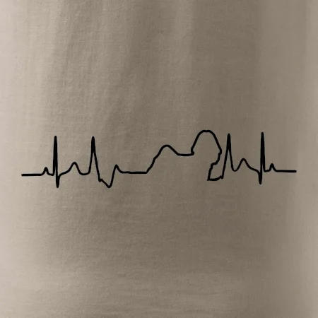 Shih-tzu ekg obrys
