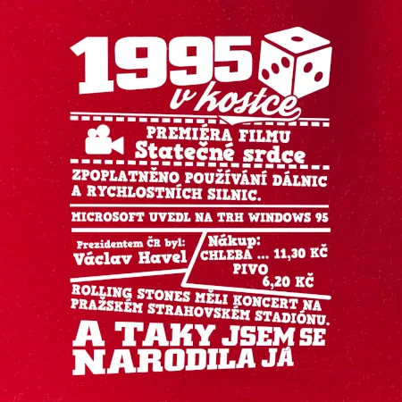 1995 v kostce