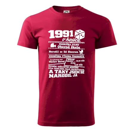 1991 v kostce