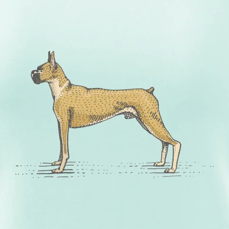 Vintage Boxer