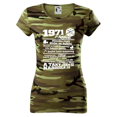 1971 v kostce
