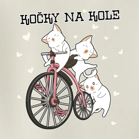 Kočky na kole