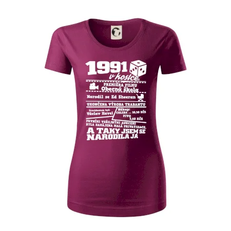 1991 v kostce