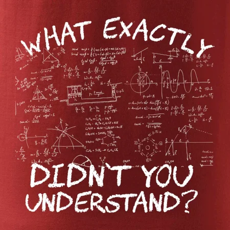 What exactly didnt you understand - physics