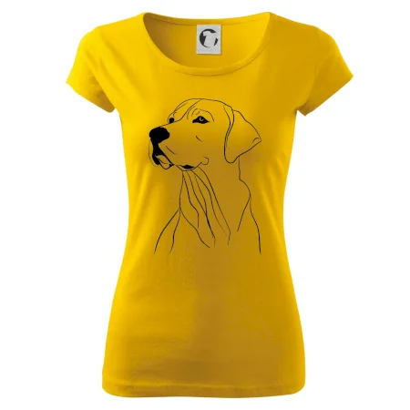 Labrador černá kresba