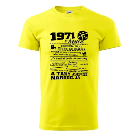 1971 v kostce