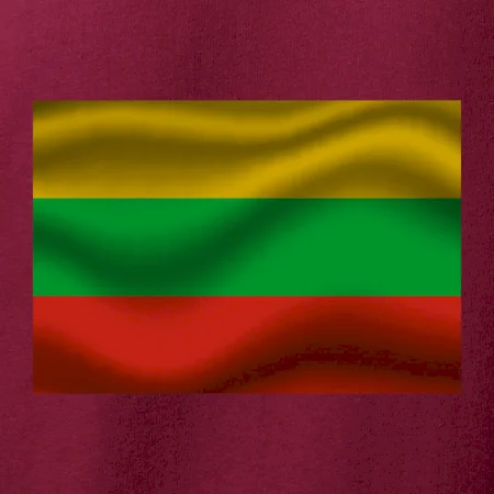 Litva vlajka obdélník