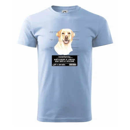 Lump a darebák labrador