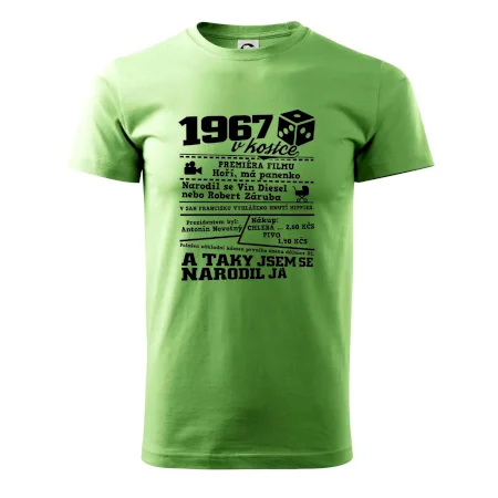 1967 v kostce
