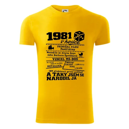 1981 v kostce