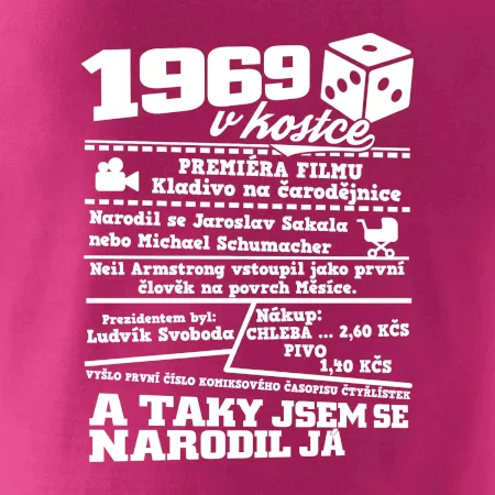 1969 v kostce