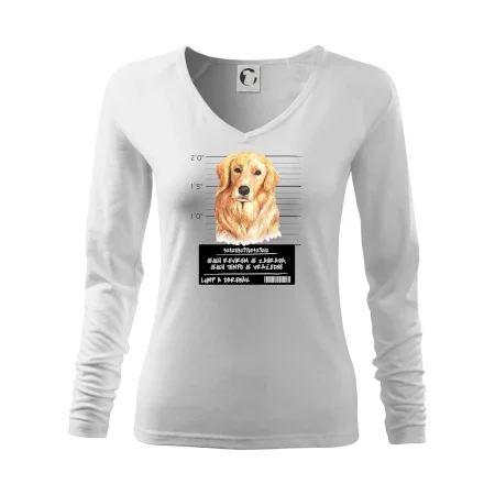 Lump a darebák zlatý retrívr