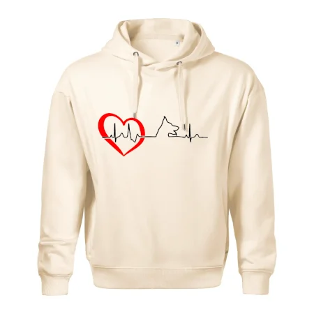 Německý ovčák ekg