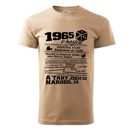 1965 v kostce