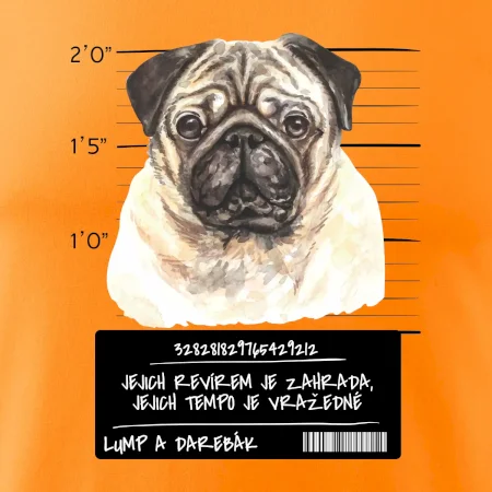 Lump a darebák mopsík